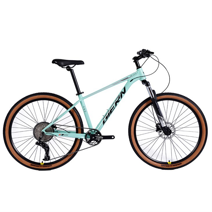 orange hardtail bikes (2)